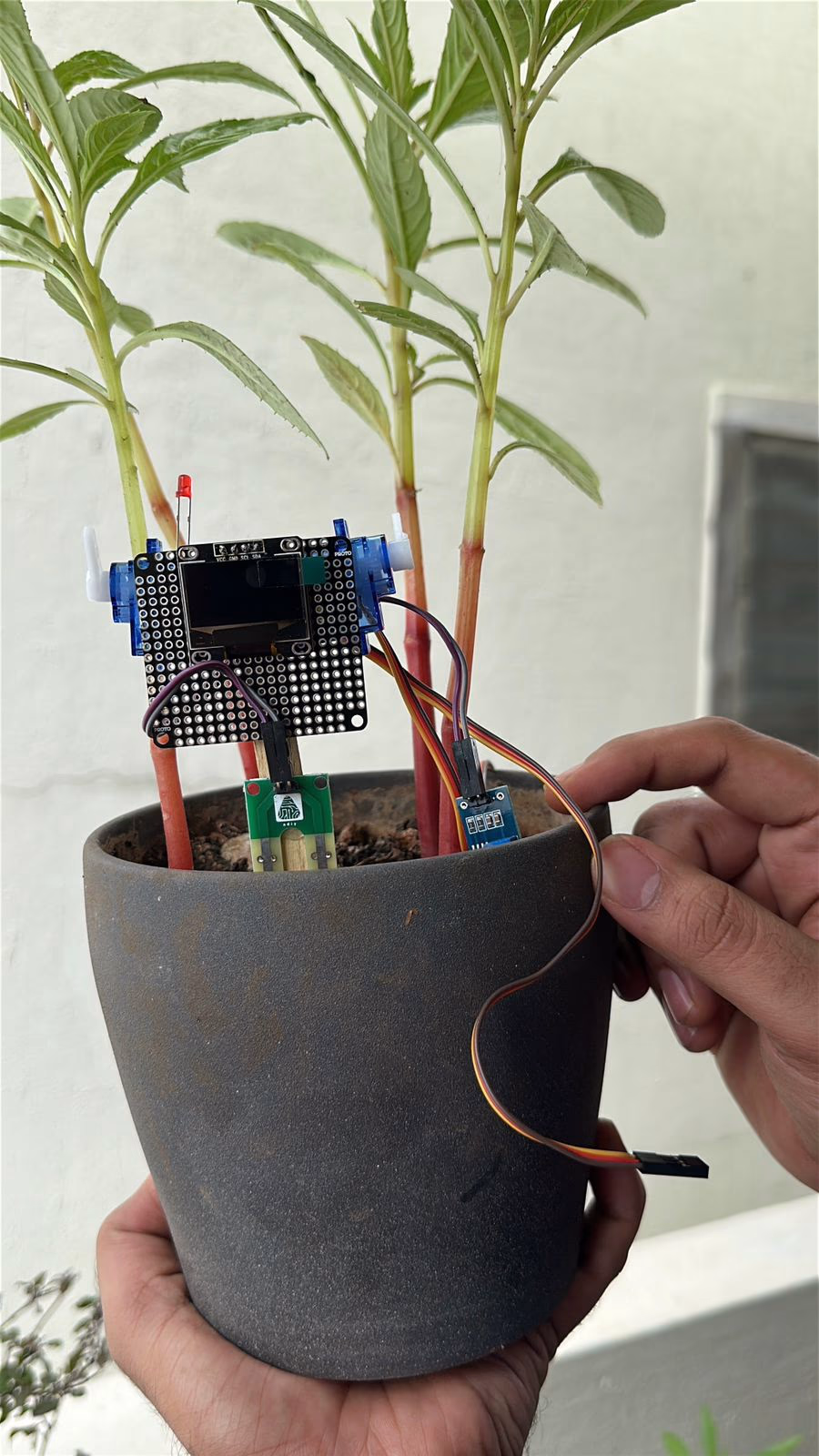 Plant Guardian
